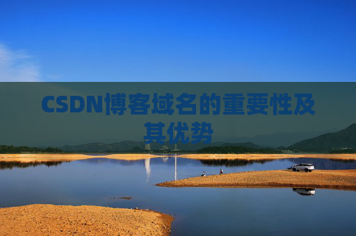 CSDN博客域名的重要性及其优势